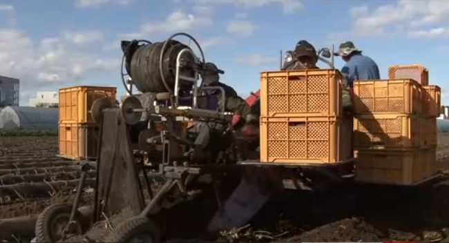 Trabajadores