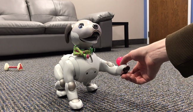 Aibo