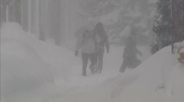 NIeve