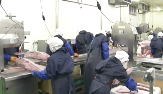 Trabajadores