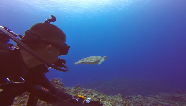 Buceo