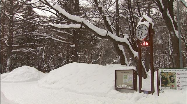 Nieve