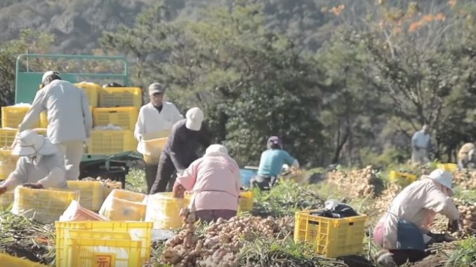 Agricultura