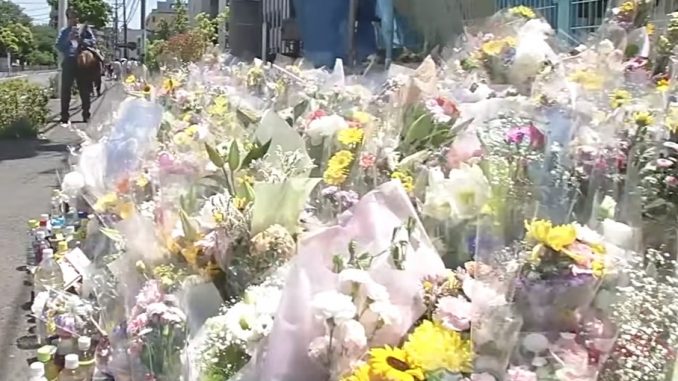 Flores