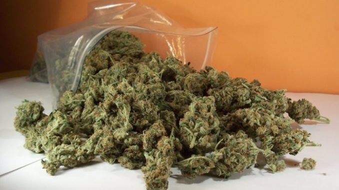 Marihuana