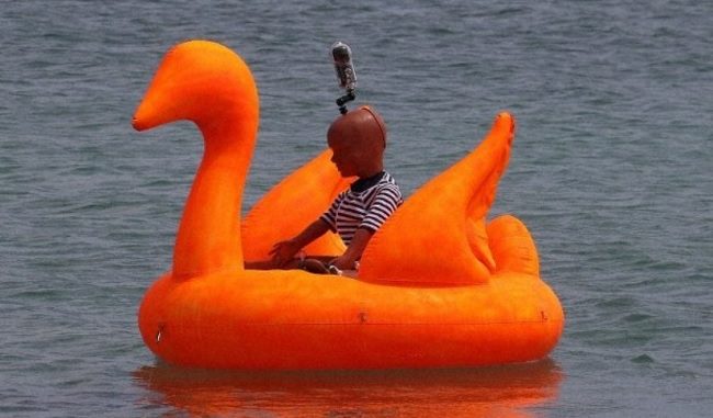 Cisne