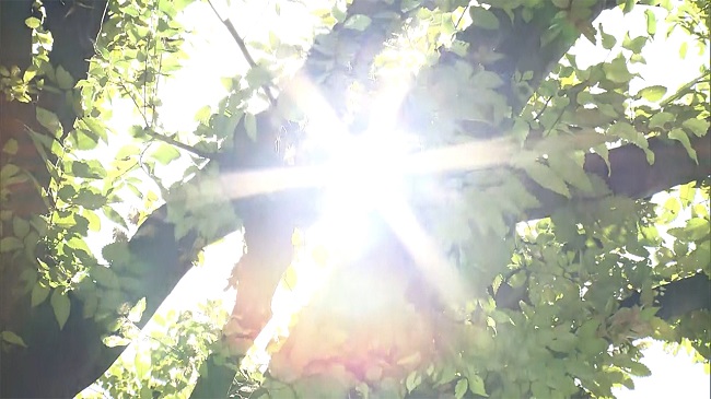 Sol