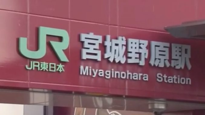 Estación de Miyaginohara