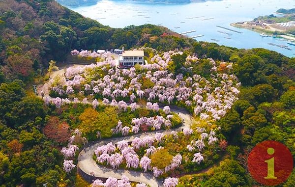AoAwo-Naruto-Resort-1