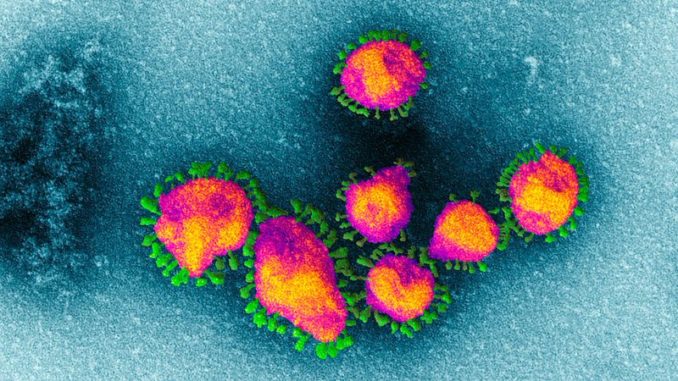 Coronavirus