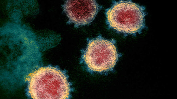 Covid-19 coronavirus