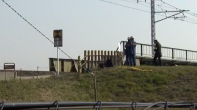 Líneas del tren