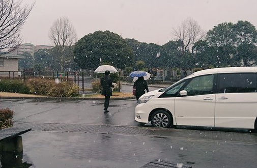 Nieva en Tokio en marzo