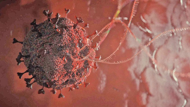 Sarilumab actuando contra el coronavirus