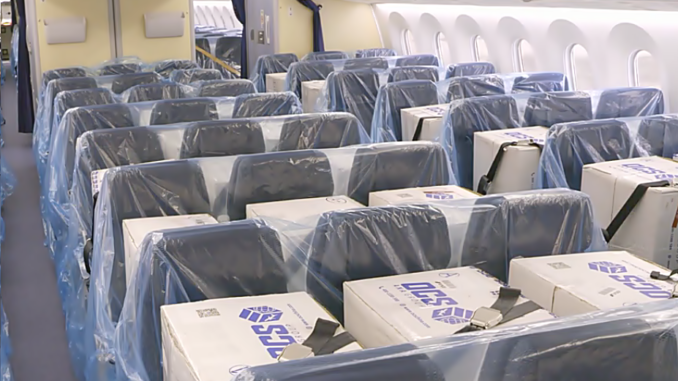 Avión de pasajeros de ANA lleva carga