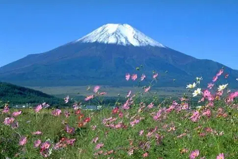 Monte Fuji