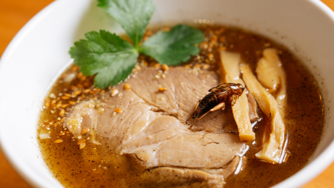 Ramen de grillo