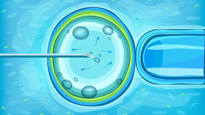 Fertilizacion in vitro