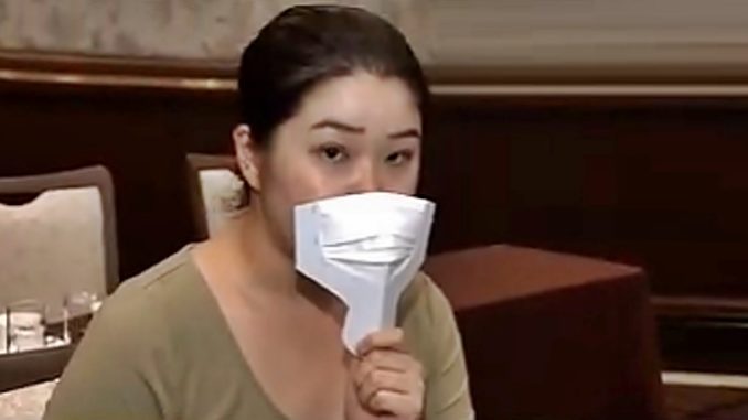 Mascarilla portátil (NHK)