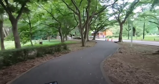 Parque en Tokio