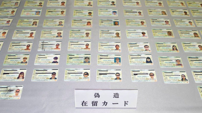 Tarjetas de Residencia falsificadas (imagen proporcionada por la policía de Hyogo)