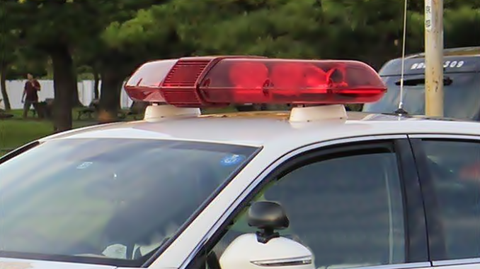 Policía japonesa