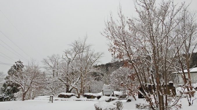 Nieve en Tochigi alrededor de las 9.00 de hoy - Foto KenmoriTochigi