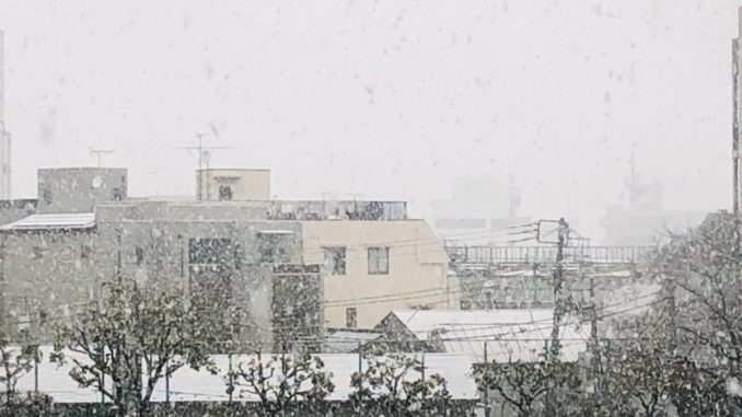 Nieve frente a la municipaidad de Suginami @yaguchiyasuyuki