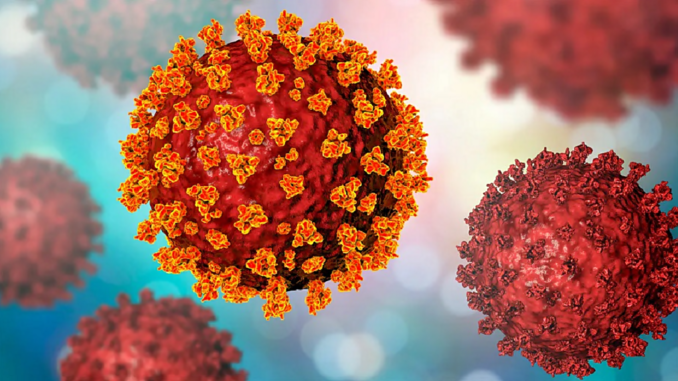 Variante del coronavirus