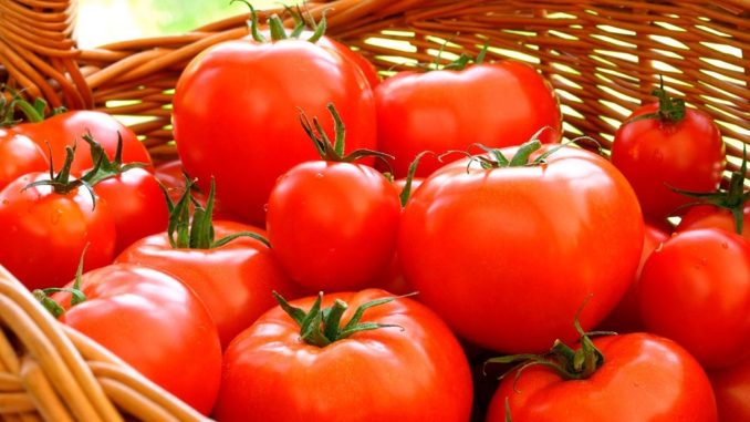 Kagome no traerá más tomates de Xinjiang