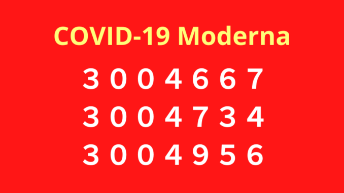 LOTES Moderna