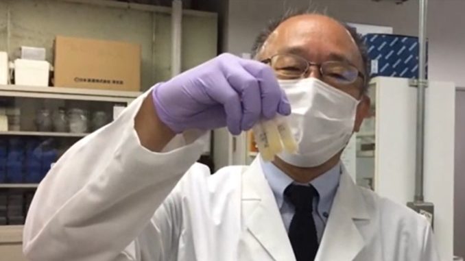 Aerosol nasal