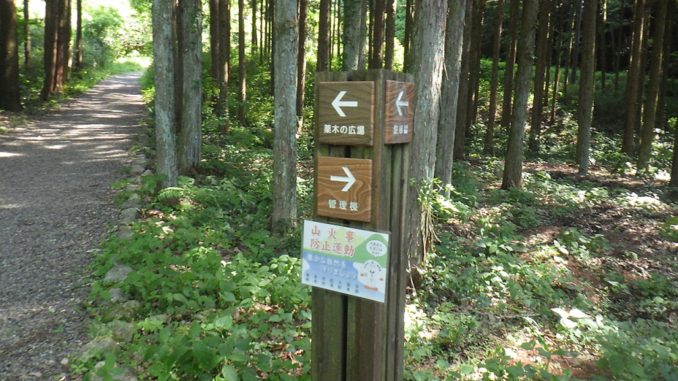 Sendero en el Monte Dodo en Gifu