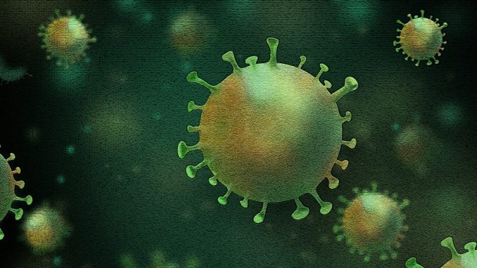 Virus Omicron