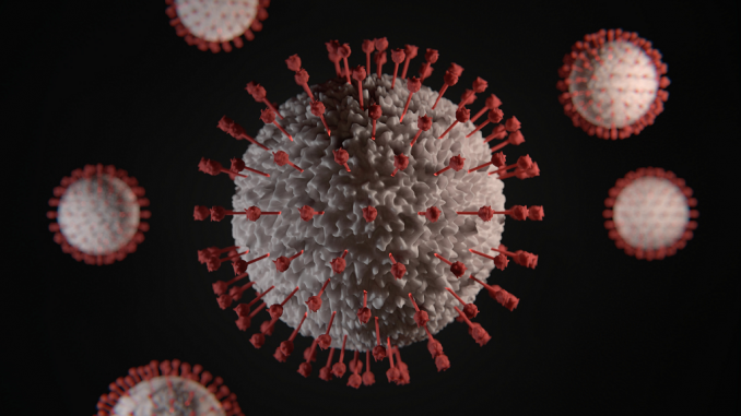 Coronavirus (Viktor Forgacs - Unsplash)