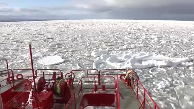 Hielo a la deriva 2021
