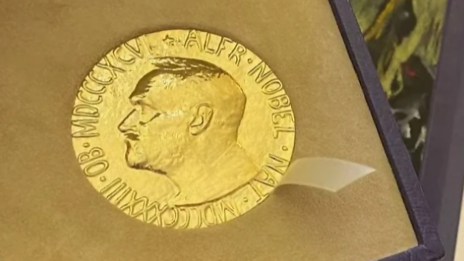 Medalla del Premio de la Paz (Nadezhda Prusenkova- Novaya Gazeta)