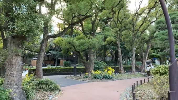 Parque