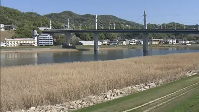Río Ota, Hiroshima