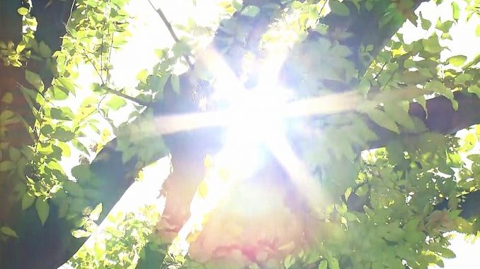 Sol