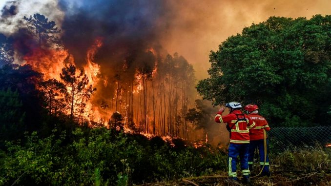 Incendio forestal en Portugal (TeleSur)