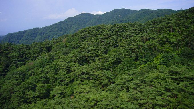 Monte Rokko