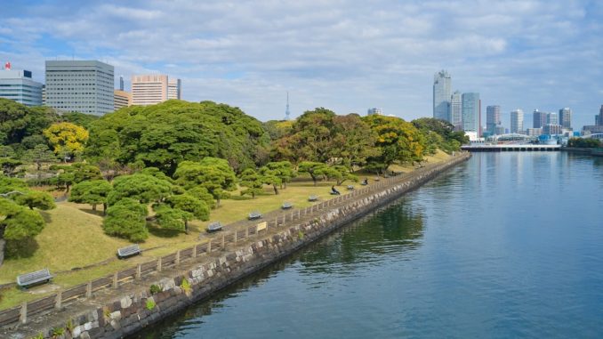 Rio Arakawa (And Trip)