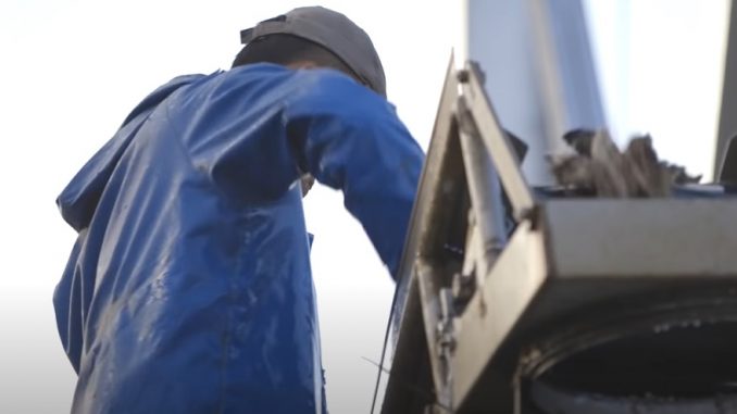 Trabajador extranjero