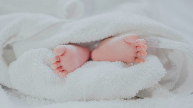 Bebé
