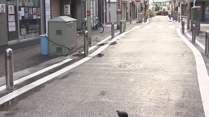 Kawasaki