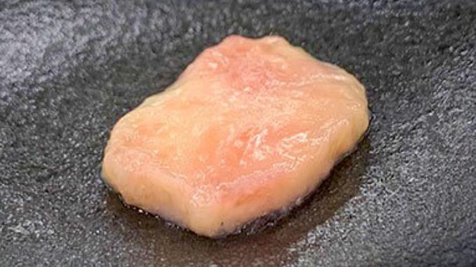 Carne de pollo cultivada en laboratorio (Foto NH Foods)
