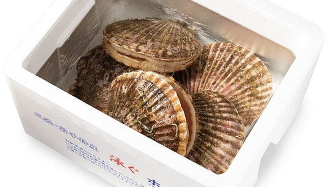 Vieras o conchas de abanico o hotate de Japón