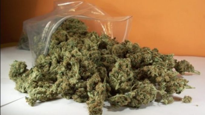 Marihuana