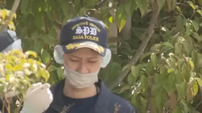 Policía de Saga
